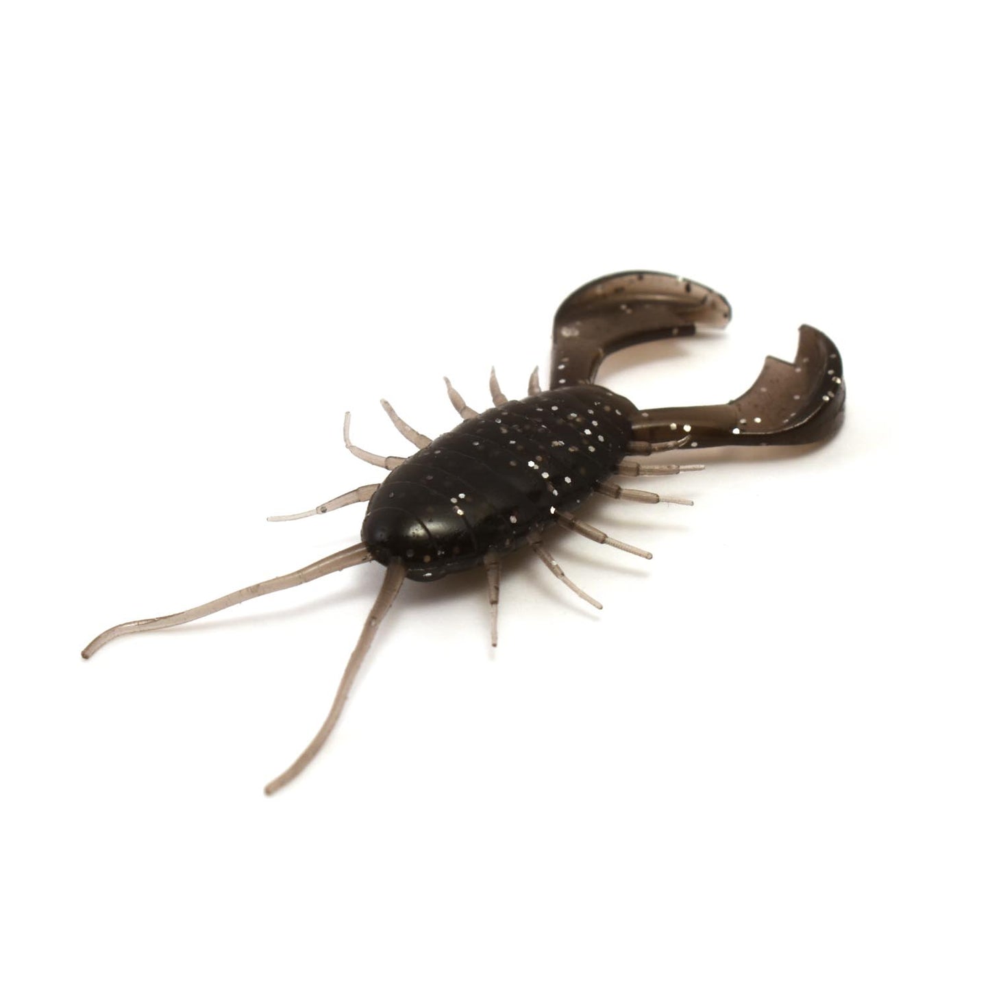 やみつきになるフナムシ