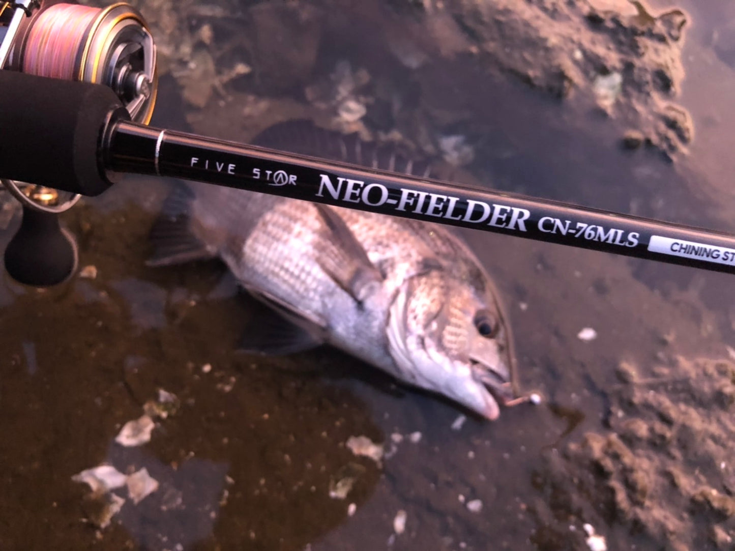 FIVE STAR NEO FIELDER CHINING STYLE ネオフィールダー チニングスタイル フリーリグ 黒鯛
